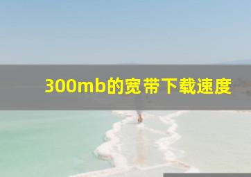 300mb的宽带下载速度