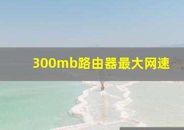 300mb路由器最大网速