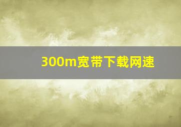 300m宽带下载网速