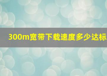 300m宽带下载速度多少达标