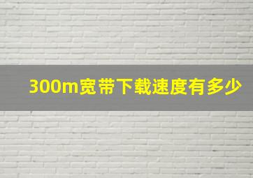 300m宽带下载速度有多少