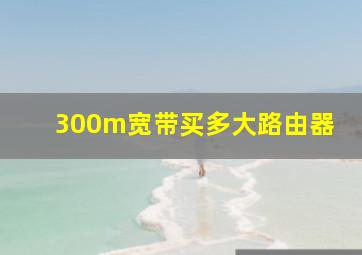 300m宽带买多大路由器