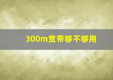 300m宽带够不够用