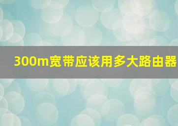 300m宽带应该用多大路由器