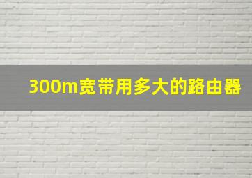 300m宽带用多大的路由器