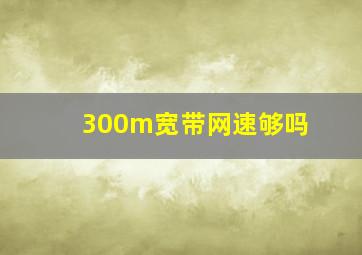 300m宽带网速够吗