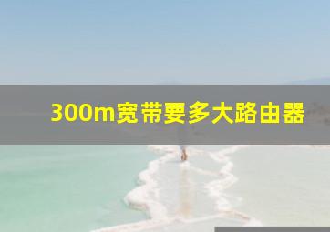 300m宽带要多大路由器