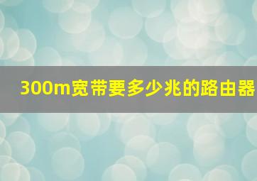 300m宽带要多少兆的路由器