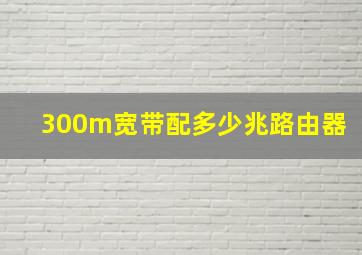 300m宽带配多少兆路由器