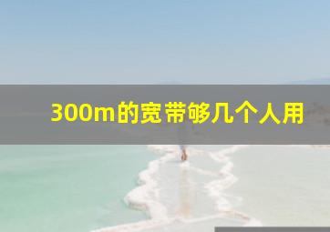 300m的宽带够几个人用