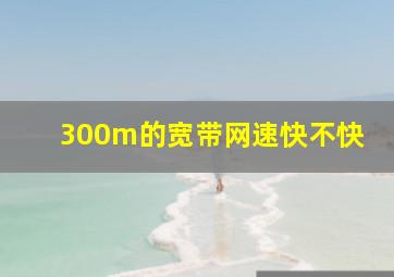 300m的宽带网速快不快