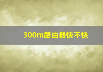 300m路由器快不快