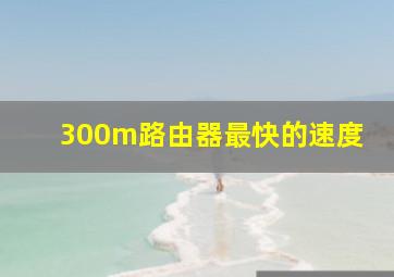 300m路由器最快的速度