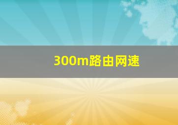 300m路由网速