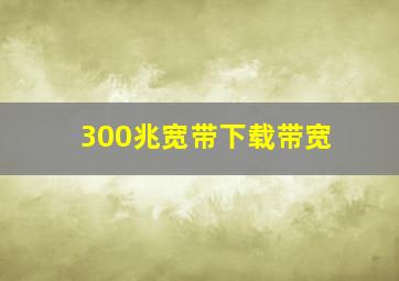 300兆宽带下载带宽