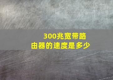 300兆宽带路由器的速度是多少