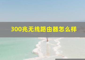 300兆无线路由器怎么样