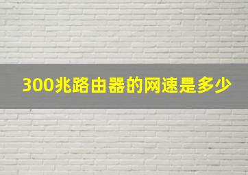 300兆路由器的网速是多少