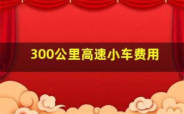 300公里高速小车费用