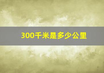 300千米是多少公里