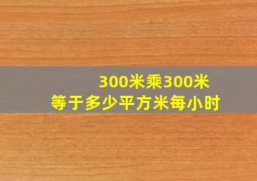 300米乘300米等于多少平方米每小时