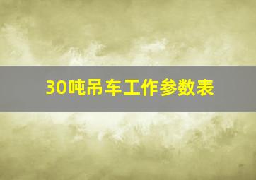 30吨吊车工作参数表