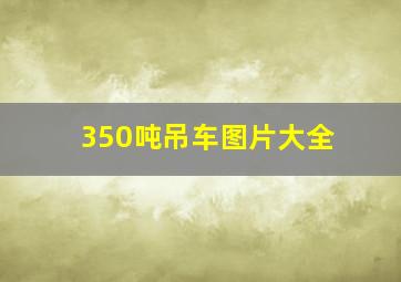 350吨吊车图片大全