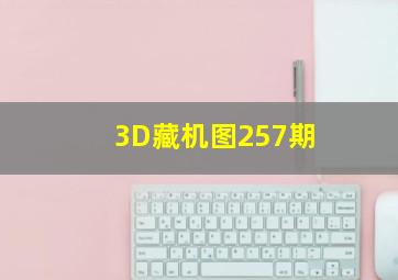 3D藏机图257期