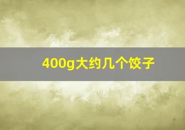 400g大约几个饺子