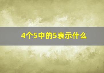 4个5中的5表示什么