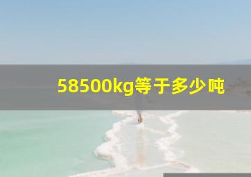 58500kg等于多少吨