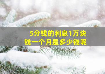 5分钱的利息1万块钱一个月是多少钱呢