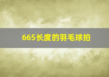 665长度的羽毛球拍