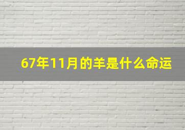 67年11月的羊是什么命运