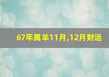 67年属羊11月,12月财运