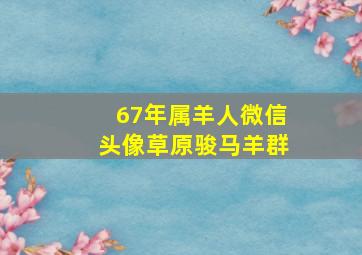 67年属羊人微信头像草原骏马羊群