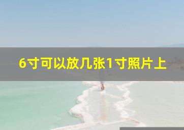 6寸可以放几张1寸照片上