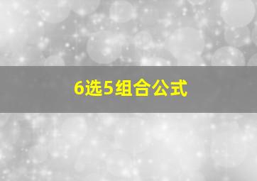 6选5组合公式