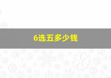 6选五多少钱