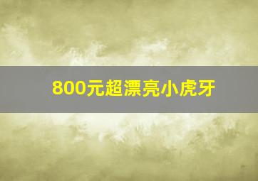 800元超漂亮小虎牙