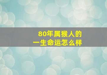 80年属猴人的一生命运怎么样