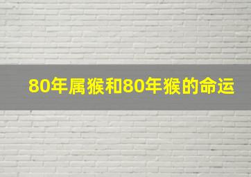 80年属猴和80年猴的命运