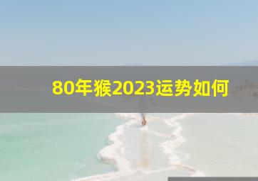 80年猴2023运势如何