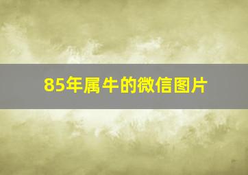 85年属牛的微信图片