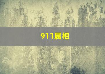 911属相