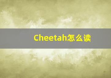 Cheetah怎么读