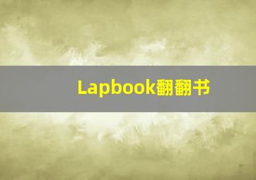 Lapbook翻翻书