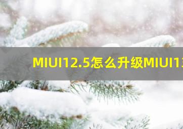 MIUI12.5怎么升级MIUI13