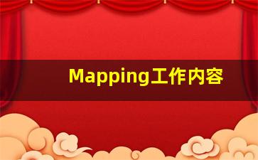 Mapping工作内容