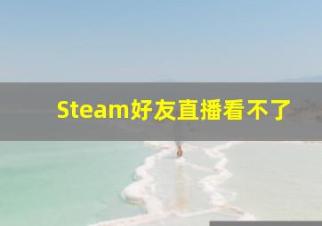 Steam好友直播看不了